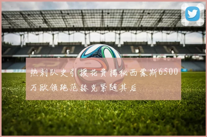热刺队史引援花费揭秘西蒙斯6500万欧领跑范赫克紧随其后